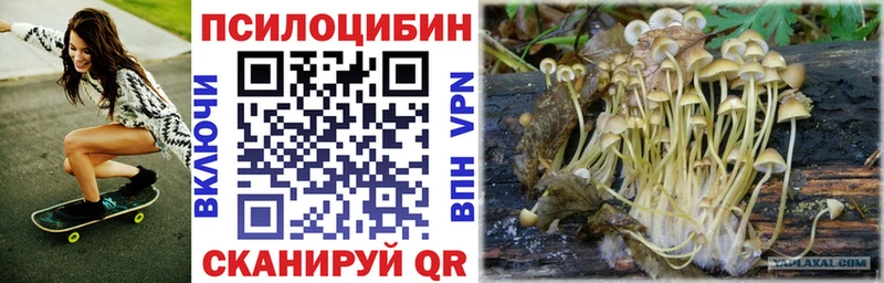 Псилоцибиновые грибы мухоморы  наркота  Спас-Клепики 